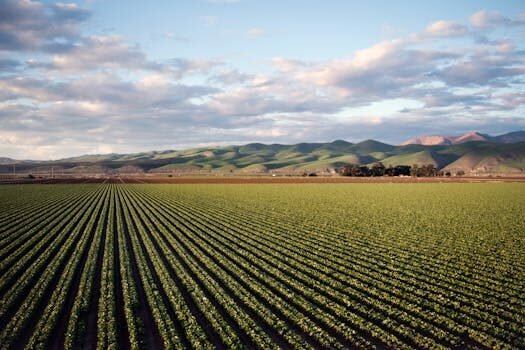 declarar solares y fincas rusticas en la declaracion de la renta 1