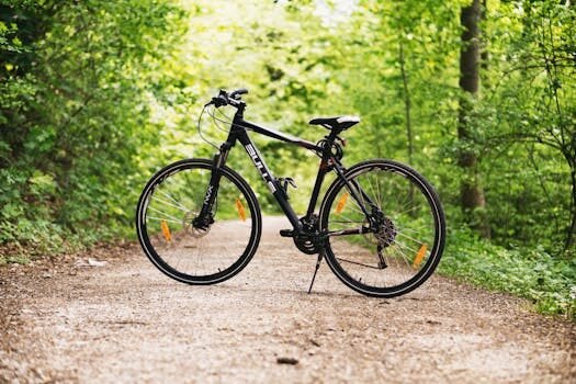 deducciones por comprar una bicicleta 4